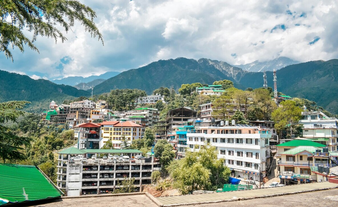 things to do in Dharamshala and Mcleodganj, top 10 things to do in Dharamshala,
